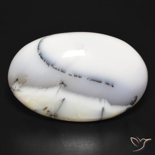 54.75ct Natural Blanco con negro Ágata dendrítica, Ovalada, Opaco