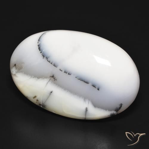 Ágata dendrítica Blanco con negro natural de 54.75 ct, Ovalada, Opaco
