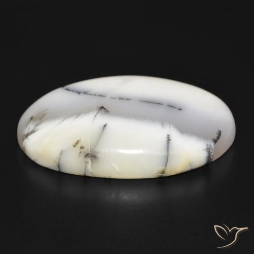 Ágata dendrítica Blanco con negro natural de 54.75 ct, Ovalada, Opaco