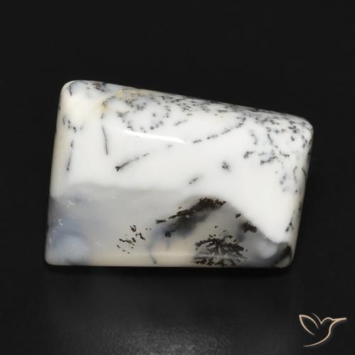 10.55ct Natural Blanco con negro Ágata dendrítica, Elegante, Opaco