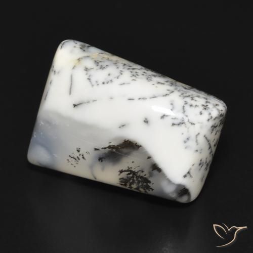 Ágata dendrítica Blanco con negro natural de 10.55 ct, Elegante, Opaco