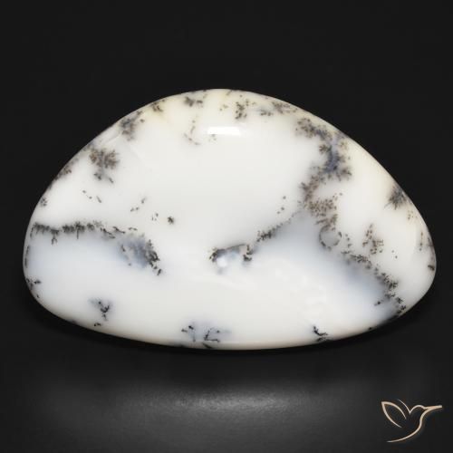 31.47ct Natural Blanco con negro Ágata dendrítica, Elegante, Opaco