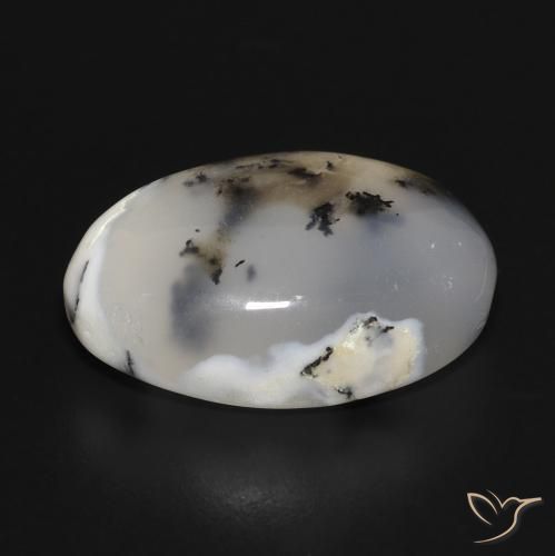 Ágata dendrítica Blanco con negro natural de 10.81 ct, Ovalada, Translúcido