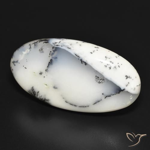 Ágata dendrítica Blanco con negro natural de 32.41 ct, Ovalada, Opaco