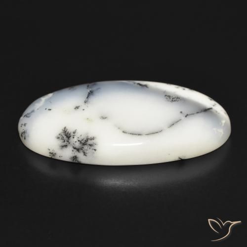 Ágata dendrítica Blanco con negro natural de 32.41 ct, Ovalada, Opaco