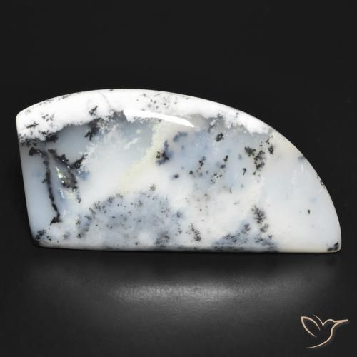 Ágata Dendrítica Blanco con negro natural de 41.89 ct, Forma elegante, Opaco