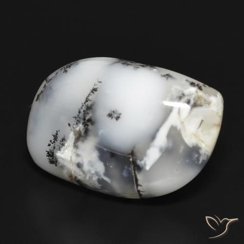 Ágata dendrítica Blanco con negro natural de 18.88 ct, Elegante, Opaco