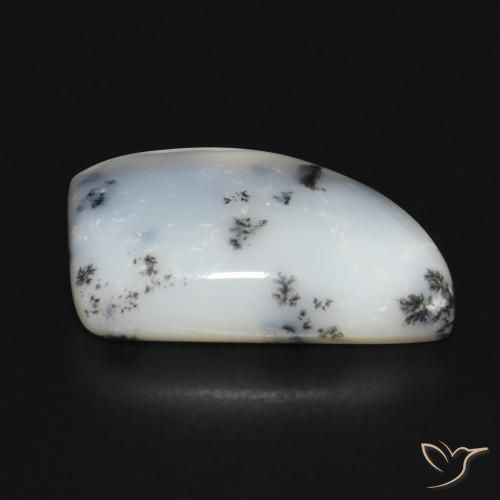 Ágata dendrítica Blanco con negro natural de 12.20 ct, Elegante, Opaco