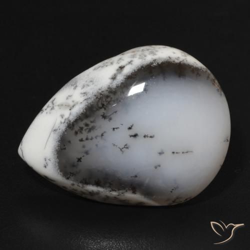 10.99ct Natural Blanco con negro Ágata dendrítica, En forma de pera, Opaco