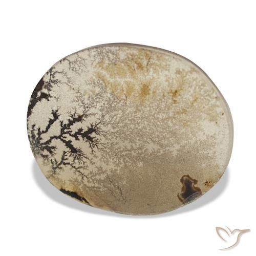 Ágata dendrítica Multicolor natural de 3.38 ct, Ovalada, Transparente