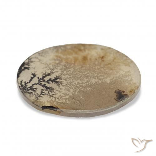 Ágata dendrítica Multicolor natural de 3.38 ct, Ovalada, Transparente