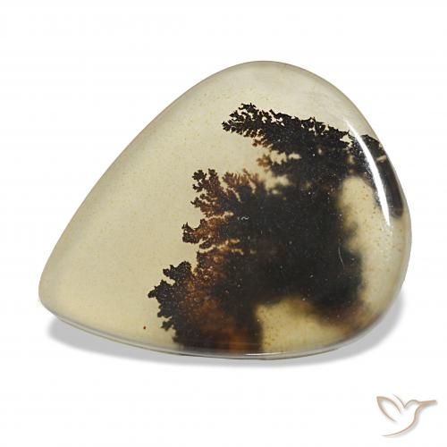 4.62ct Multicolor Ágata dendrítica, En forma de pera, Transparente