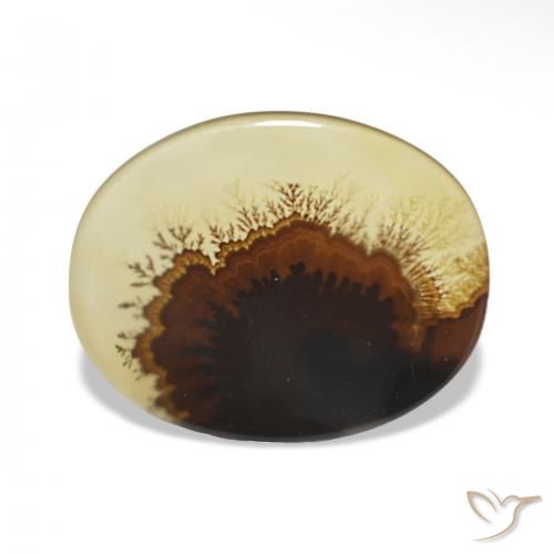 2.46ct Multicolor Ágata dendrítica, Ovalada, Transparente