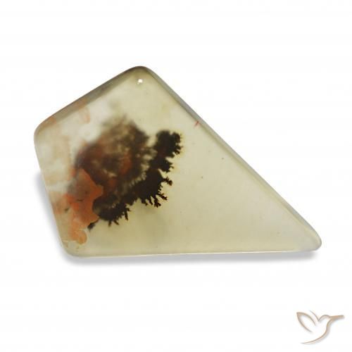 Ágata dendrítica Multicolor natural de 4.47 ct, Elegante, Transparente