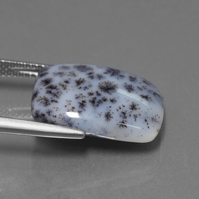 Calcedonia dendrítica Multicolor natural de 8.39 ct, Corte Cojín, Opaco