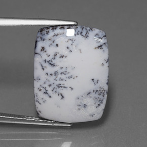 Calcedonia dendrítica Multicolor natural de 11.33 ct, Corte Cojín, Opaco