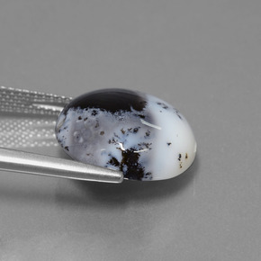 Calcedonia dendrítica Multicolor natural de 9.50 ct, Corte Redondo, Translúcido