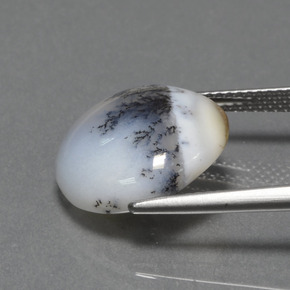 Calcedonia dendrítica multicolor natural de 7,74 ct, corte redondo, opaco