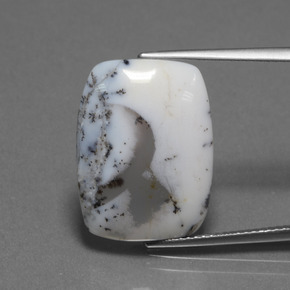 Calcedonia dendrítica Multicolor natural de 10.32 ct, Corte Cojín, Translúcido