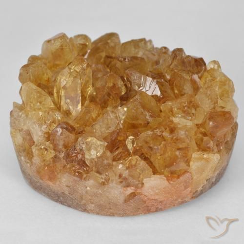 64.51ct Natural Marrón-oro Citrino druzy, Elegante, Opaco