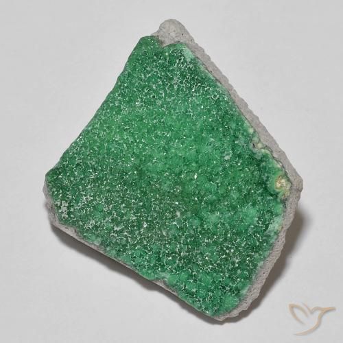 11.83ct Natural Verde medio Variscita drusa, Elegante, Opaco