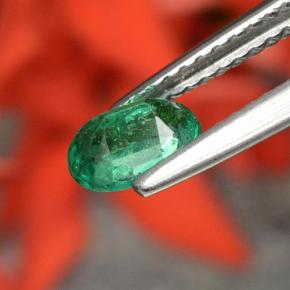 Esmeralda verde natural de 0,48 ct, corte óvalo, SI-I1