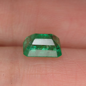 Esmeralda verde natural de 1,46 ct, corte esmeralda, VS-SI