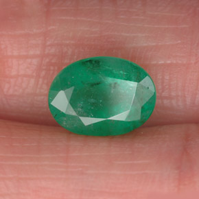 Esmeralda verde natural de 1,61 ct, corte óvalo, SI-I1