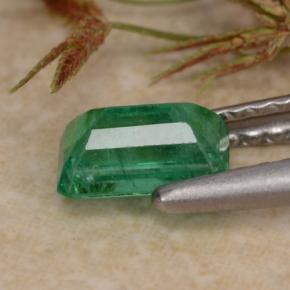 Esmeralda verde natural de 0,63 ct, corte esmeralda, SI-I1
