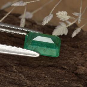 Esmeralda verde natural de 0,59 ct, corte esmeralda, SI-I1
