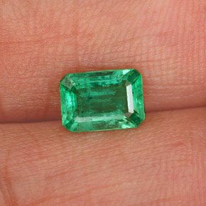 Esmeralda verde natural de 0,73 ct, corte esmeralda, SI-I1