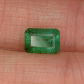 Esmeralda verde natural de 0,84 ct, corte esmeralda, SI-I1