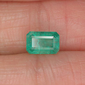 Esmeralda verde natural de 0,61 ct, corte esmeralda, SI-I1