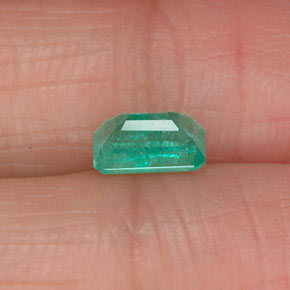 Esmeralda verde natural de 0,61 ct, corte esmeralda, SI-I1