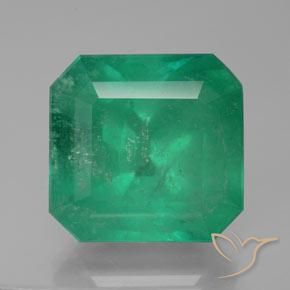 28.80ct Natural Verde bosque Esmeralda, corte esmeralda, SI