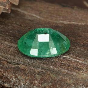 Esmeralda verde natural de 1,12 ct, corte óvalo, SI-I1