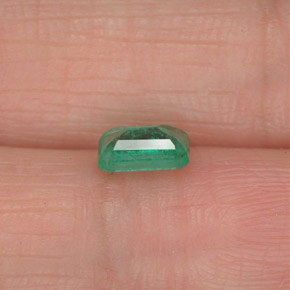 Esmeralda verde natural de 0,52 ct, corte esmeralda, SI-I1