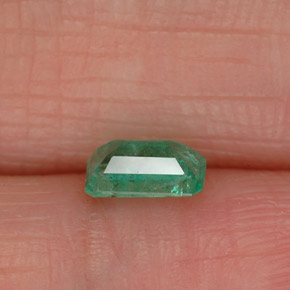 Esmeralda verde natural de 0,43 ct, corte esmeralda, SI-I1