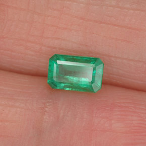 Esmeralda verde natural de 0,46 ct, corte esmeralda, SI-I1