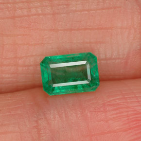Esmeralda verde natural de 0,55 ct, corte esmeralda, SI-I1