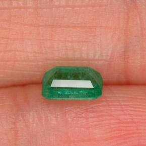 Esmeralda verde natural de 0,55 ct, corte esmeralda, SI-I1