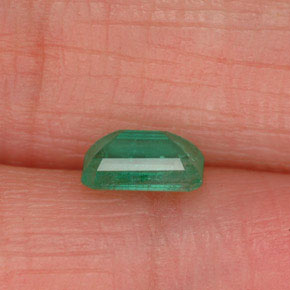 Esmeralda verde natural de 0,52 ct, corte esmeralda, SI-I1