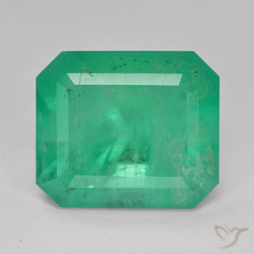 10.88ct Natural Verde jade Esmeralda, corte esmeralda, SI-I1