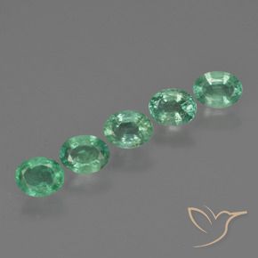 Gemas de Esmeralda Verde medio natural de 1.60 ct, Ovalada, SI