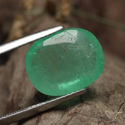 Esmeralda Verde claro natural de 9.62 ct, Ovalada, Translúcido
