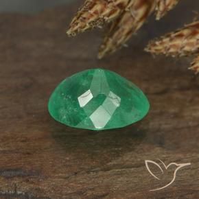 Esmeralda Verde cálido natural de 0.88 ct, Ovalada, VS-SI