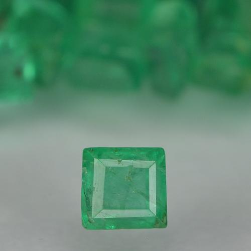 Gemas de Esmeralda Verde medio natural de 1.37 ct, Cuadrado, VS-SI