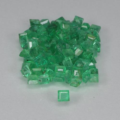 Gemas de Esmeralda Verde medio natural de 1.37 ct, Cuadrado, VS-SI