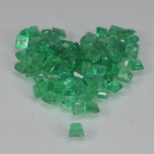 Gemas de Esmeralda Verde medio natural de 1.37 ct, Cuadrado, VS-SI