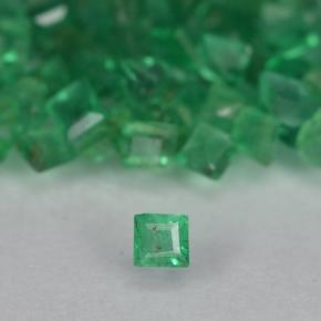 Gemas de Esmeralda Verde cálido natural de 1.39 ct, Cuadrado, VS-SI